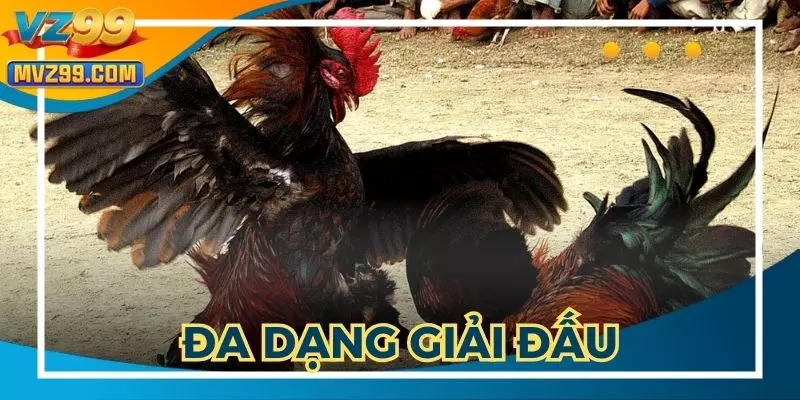 Đa dạng các giải đấu chuyên nghiệp có mặt