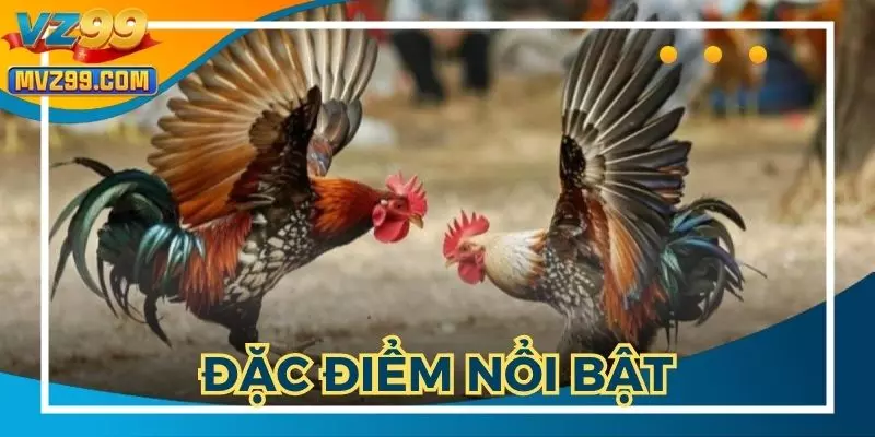 Đặc điểm nổi bật thu hút người chơi tham gia