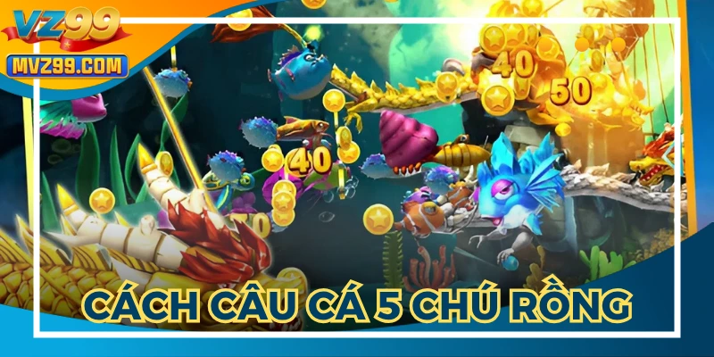 Cách Câu Cá 5 Chú Rồng: Bí Kíp Săn Thưởng Hiệu Quả