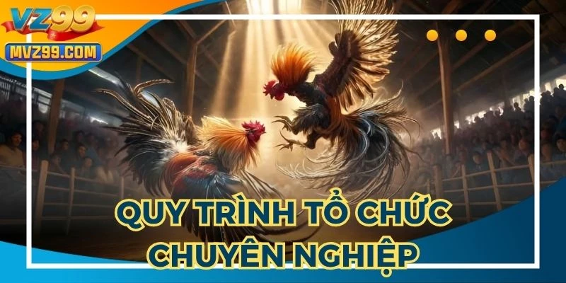 Cách hình thành nên một trận đá gà Thomo hôm nay uy tín