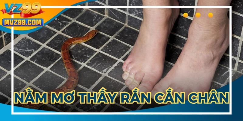 Dự đoán có người đang cản trở bạn phát triển