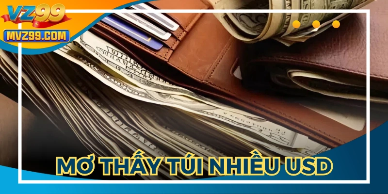 Giấc mơ trở thành triệu phú với khoản tiền đô lớn