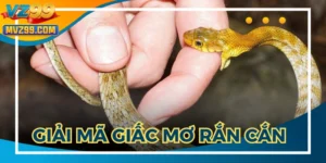 Giải Mã Giấc Mơ Rắn Cắn Cùng Con Số May Mắn Đánh Lô