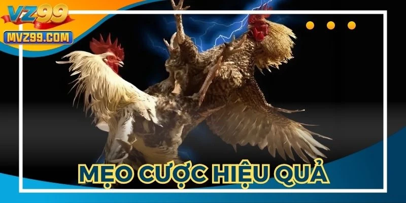 Một vài mẹo hữu ích giúp bạn tối ưu lợi nhuận đem về