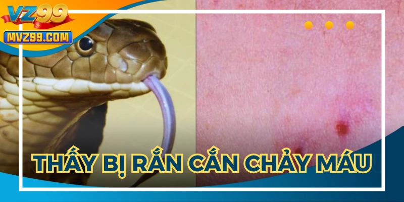 Cân nhắc cuộc sống để tránh mệt mỏi lâu